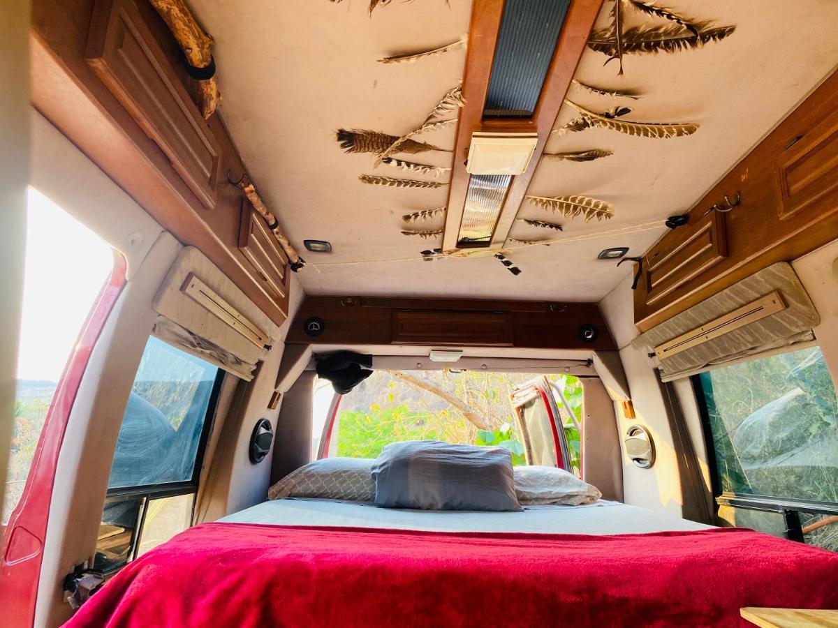 Bajo Las Estrellas Eco Glamping 马祖特 外观 照片