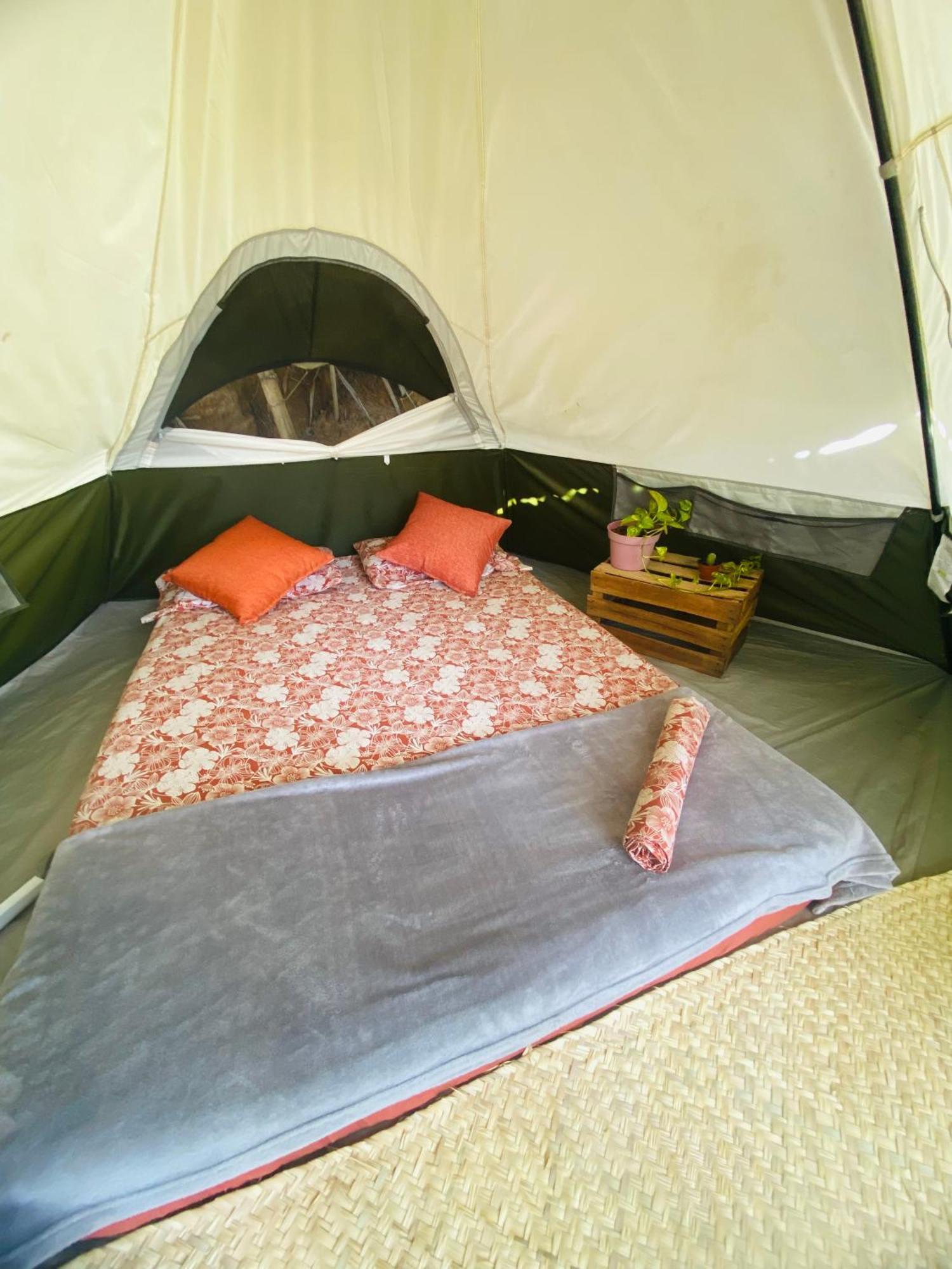 Bajo Las Estrellas Eco Glamping 马祖特 外观 照片