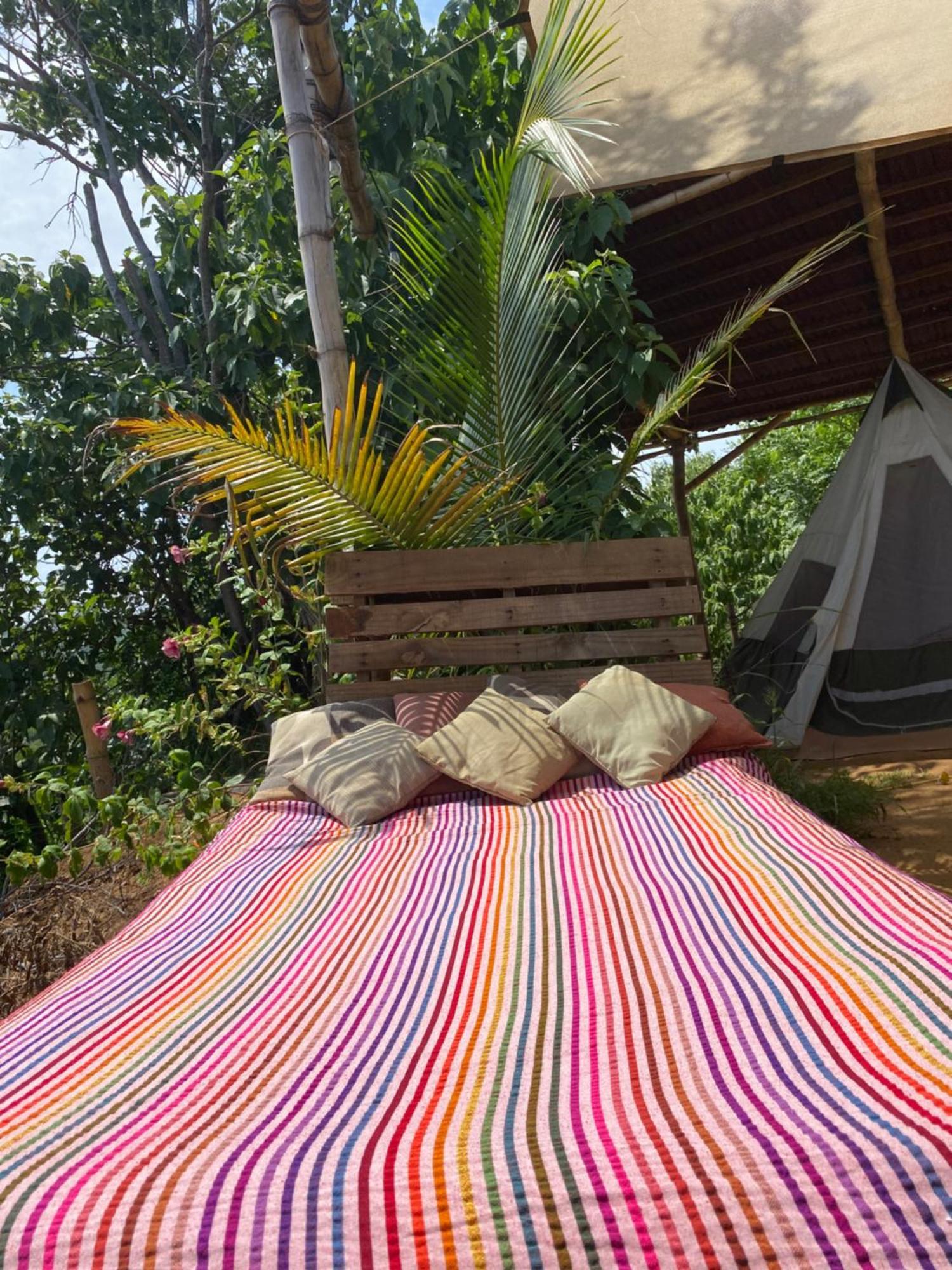 Bajo Las Estrellas Eco Glamping 马祖特 外观 照片