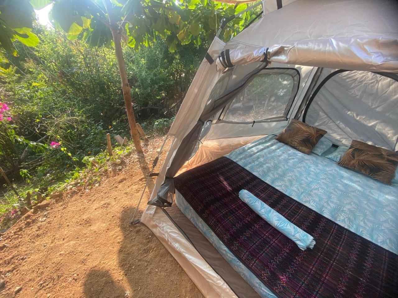 Bajo Las Estrellas Eco Glamping 马祖特 外观 照片