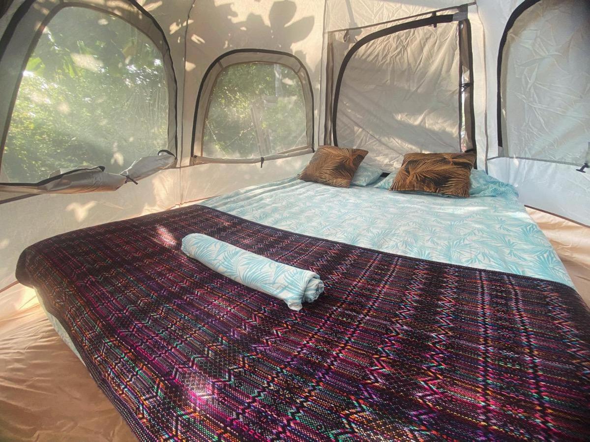 Bajo Las Estrellas Eco Glamping 马祖特 外观 照片